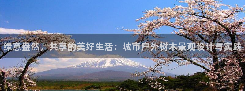 漳州摩根会娱乐