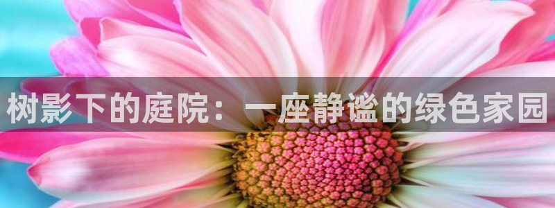 摩根国际娱乐
