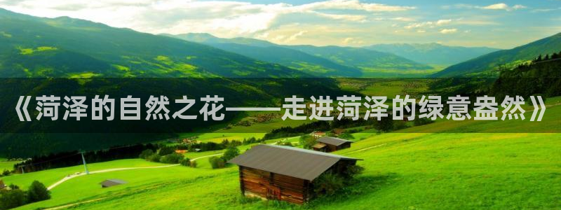 摩根娱乐身生个女孩吧