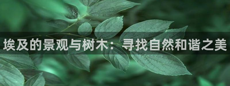 香港摩根娱乐宝：埃及的景观与树木：寻找自然和谐之美