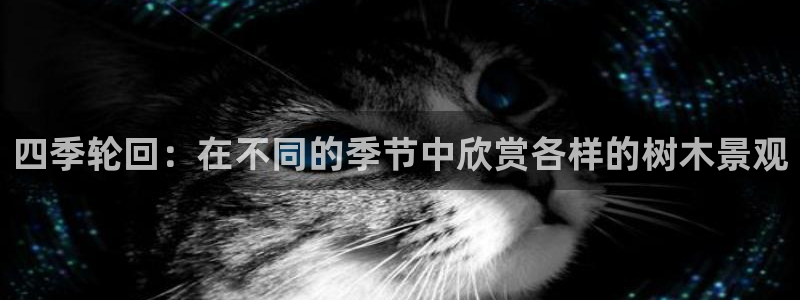 摩根娱乐宝代理