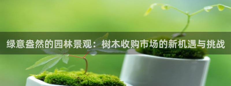 杭州市摩根国际娱乐会所