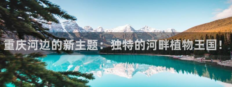 泉州摩根会娱乐保安公司