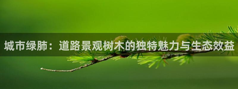 摩根国际娱乐宝官网下载