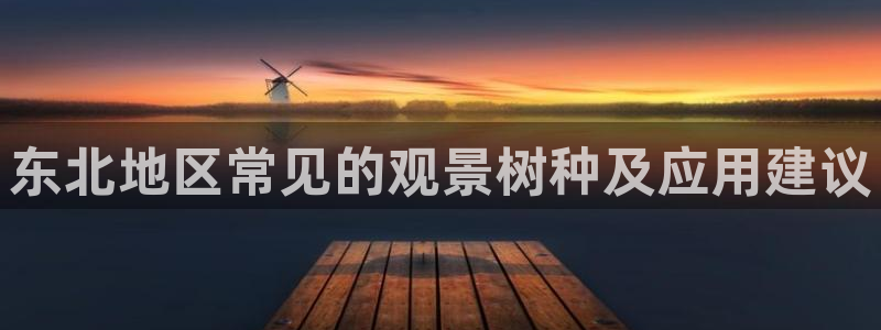 摩根国际娱乐宝下载