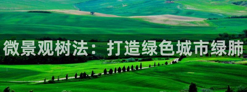 摩根时代资阳娱乐场所