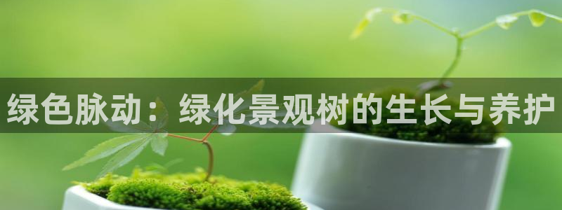 杭州市摩根国际娱乐会所