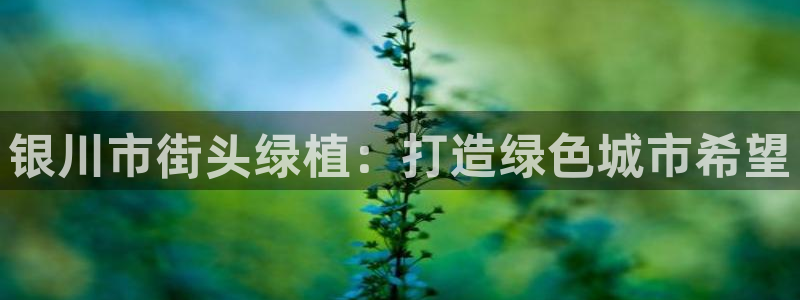 摩根兄弟进军娱乐圈