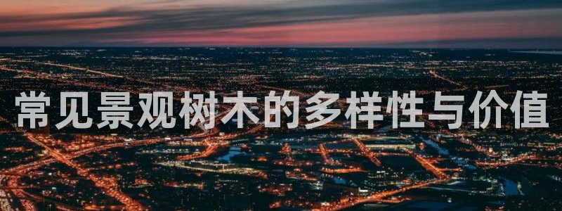 摩根娱乐宝微交易