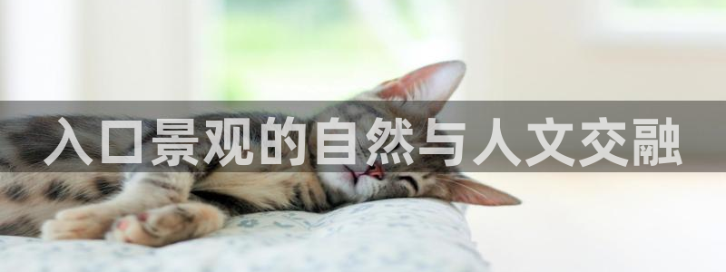 摩根娱乐宝官网