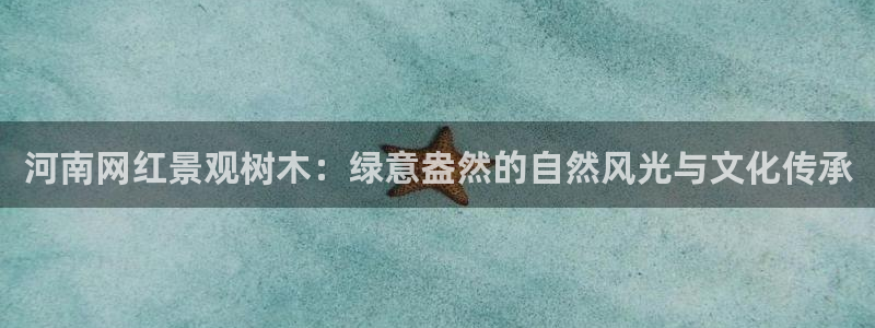 摩根空间附近休闲娱乐