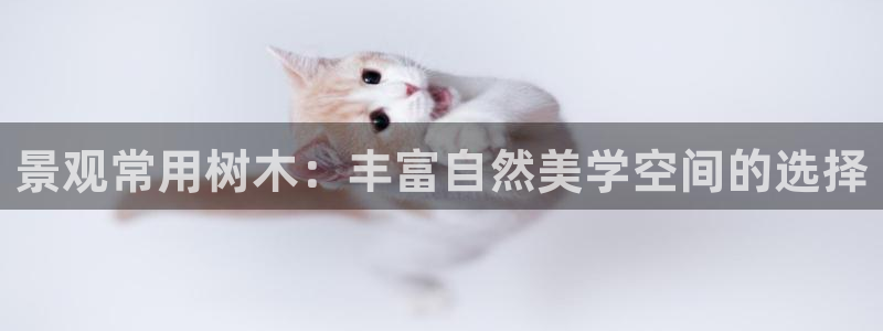 泉州摩根会娱乐保安