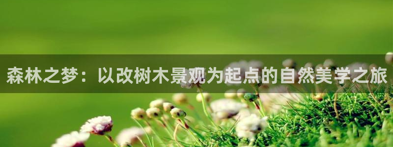 摩根娱乐宝打不开