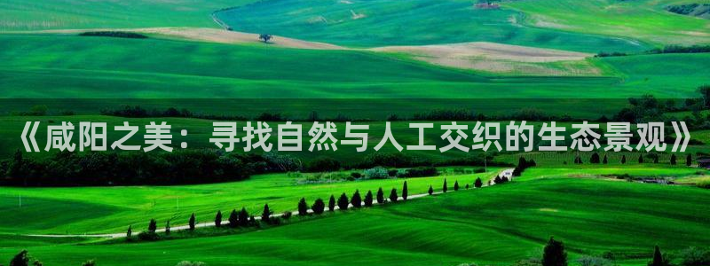摩根娱乐宝怎么玩