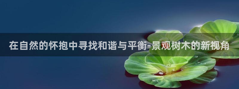 长春拉图摩根娱乐