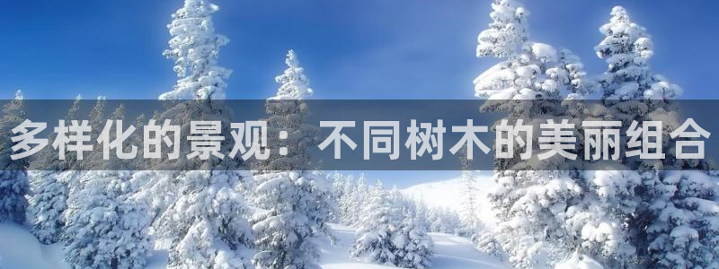摩根娱乐宝总部招商