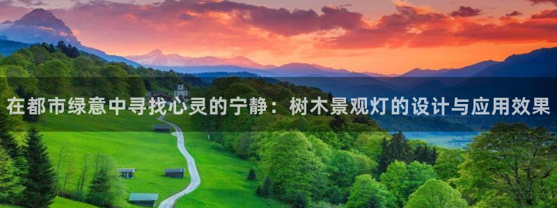 义乌摩根娱乐会所小费：在都市绿意中寻找心灵的宁静：树木景观灯的设计与应用效果