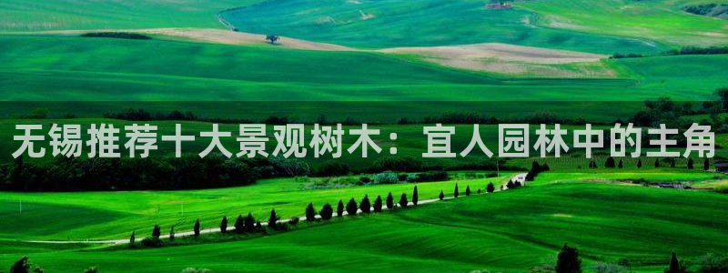 义乌摩根娱乐会所