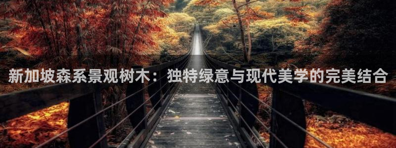 摩根娱乐宝.知道吗