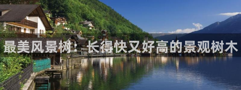 临平摩根娱乐会所