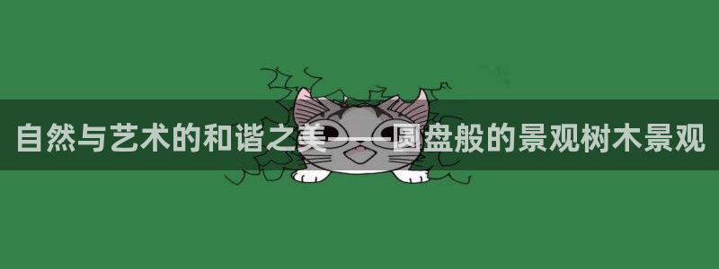 摩根娱乐宝怎么提现