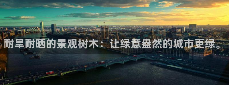 摩根兄弟进军娱乐圈