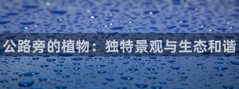 摩根娱乐宝软件下载