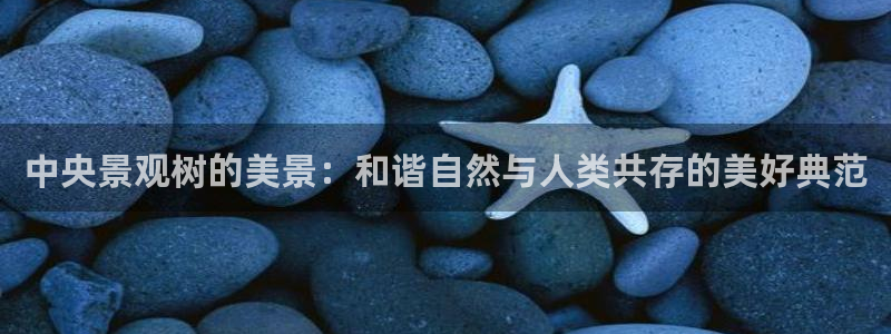 摩根大通黄金娱乐