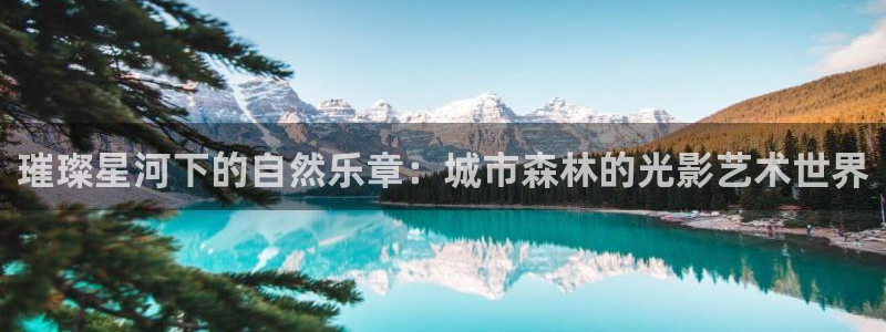 摩根娱乐宝机构代码