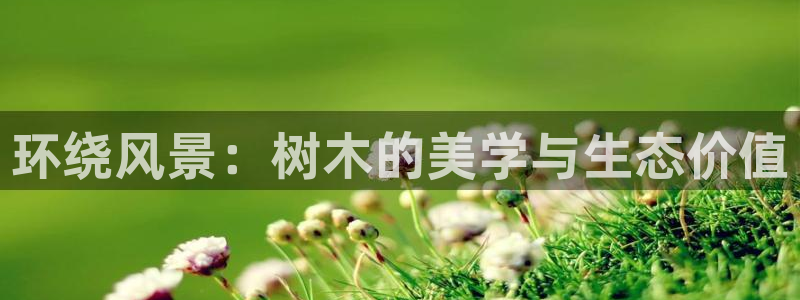 摩根娱乐总部在哪里：环绕风景：树木的美学与生态价值