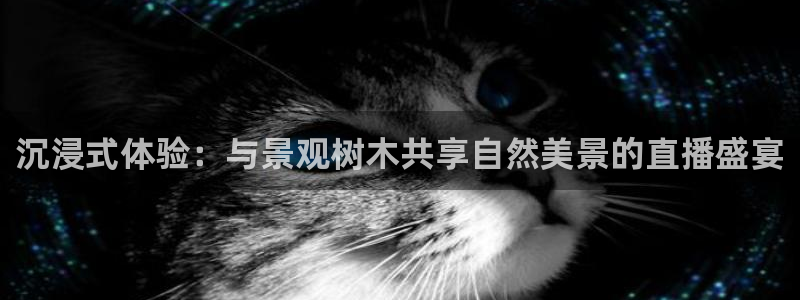 摩根空间附近休闲娱乐