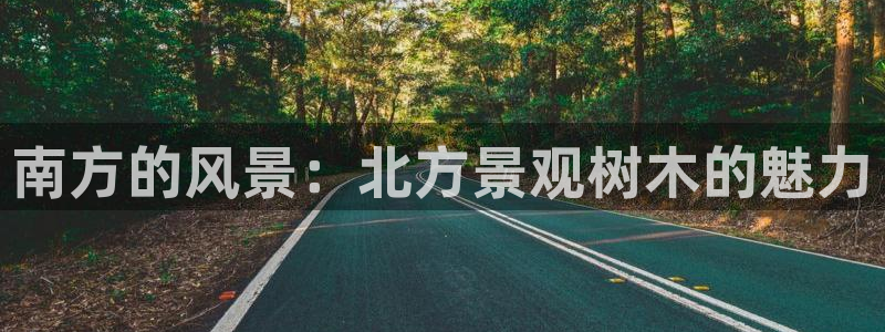 摩根娱乐宝骗局：南方的风景：北方景观树木的魅力