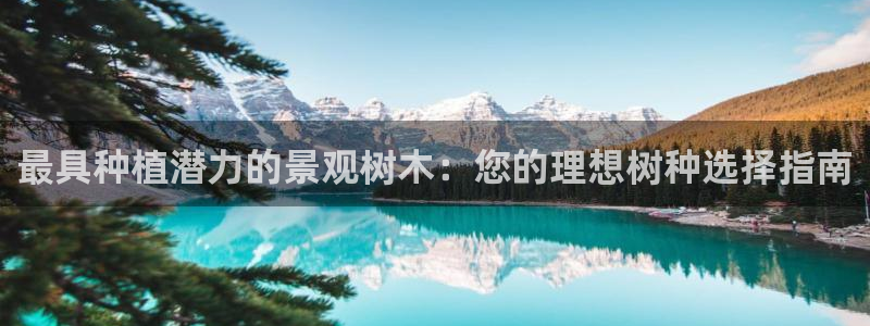 摩根大通王者娱乐