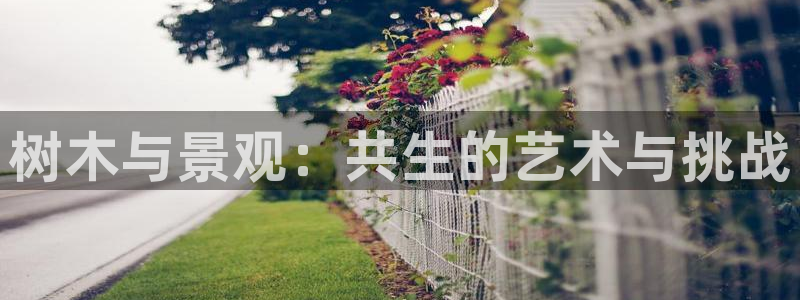 摩根国际娱乐会所电话：树木与景观：共生的艺术与挑战