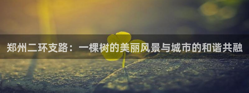 泉州摩根会娱乐张桂花：郑州二环支路：一棵树的美丽风景与城市的和谐共融