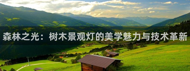 下载摩根国际娱乐宝