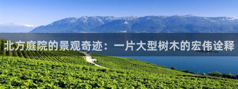 摩根娱乐50186加