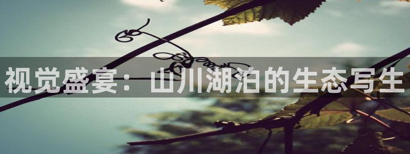 重生娱乐人生莉莉丝摩根