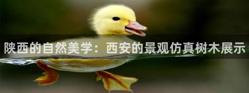 摩根娱乐是什么意思