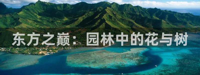 摩根娱乐宝秒单