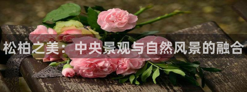 摩根娱乐百家号