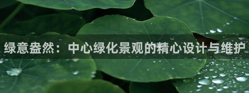 微信里面摩根娱乐宝