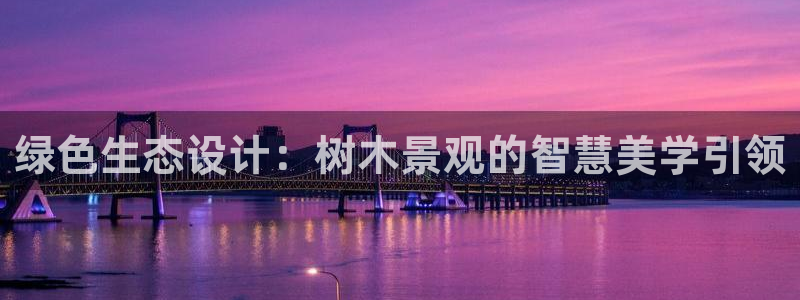 摩根国际娱乐宝进不去