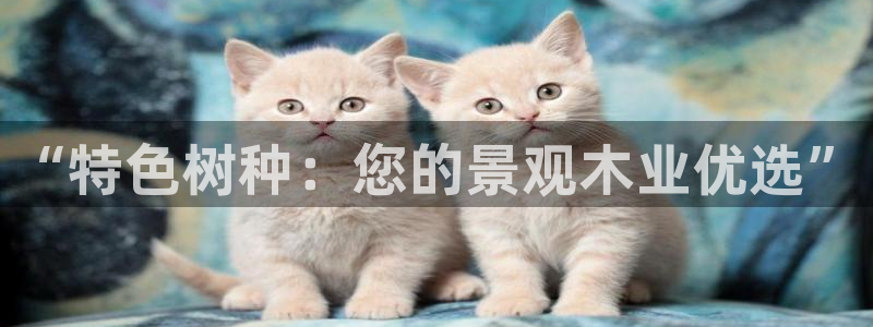 义乌市摩根娱乐厅