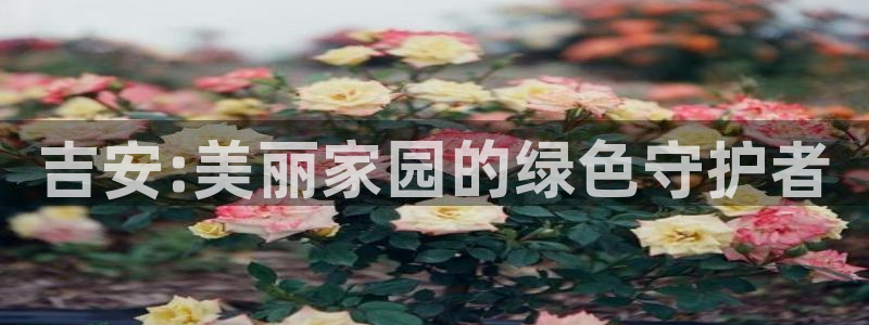 摩根娱乐文化有限公司