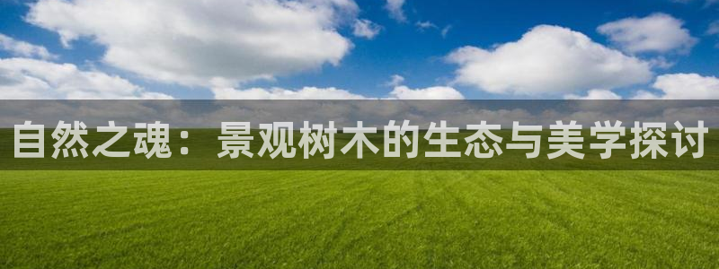 摩根娱乐帐7O777