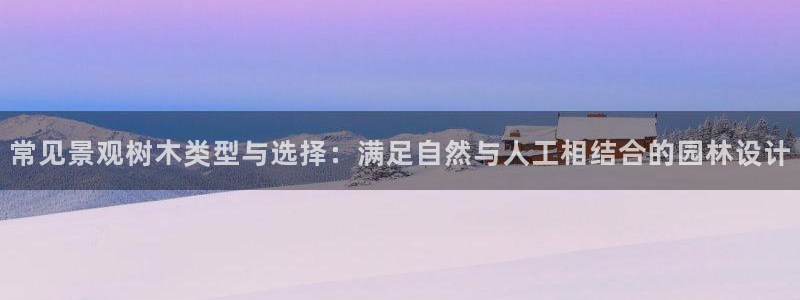 泉州摩根娱乐会所怎么样