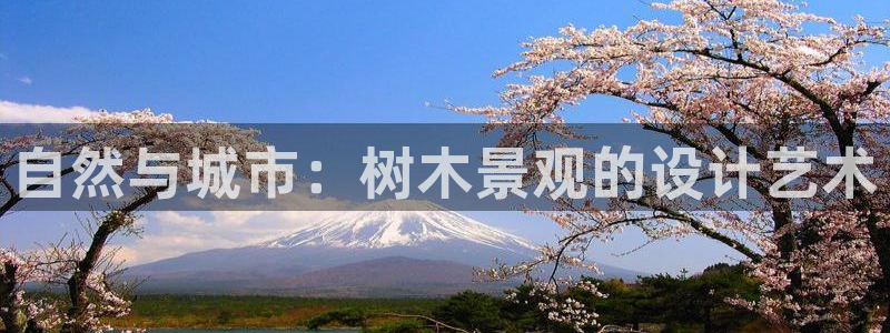 摩根大通会员买金沙娱乐