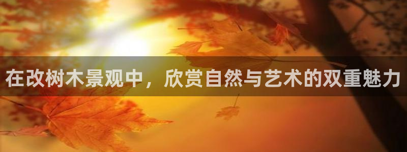 杭州市摩根国际娱乐会所