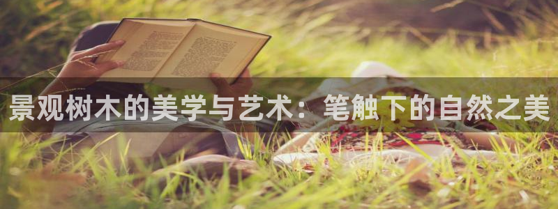 摩根合约娱乐宝